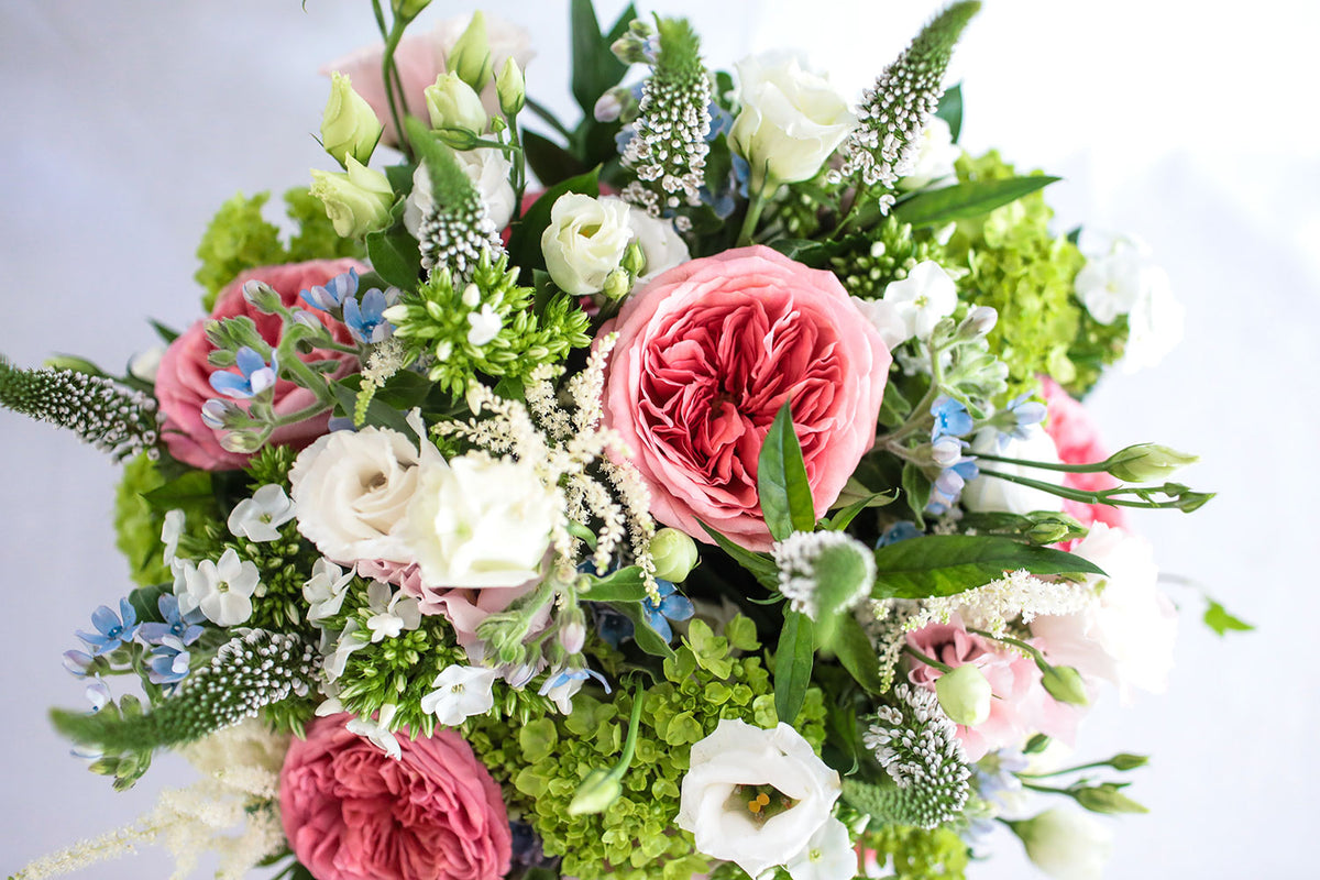 Designers Choice Topiaire Flower Shop Southampton