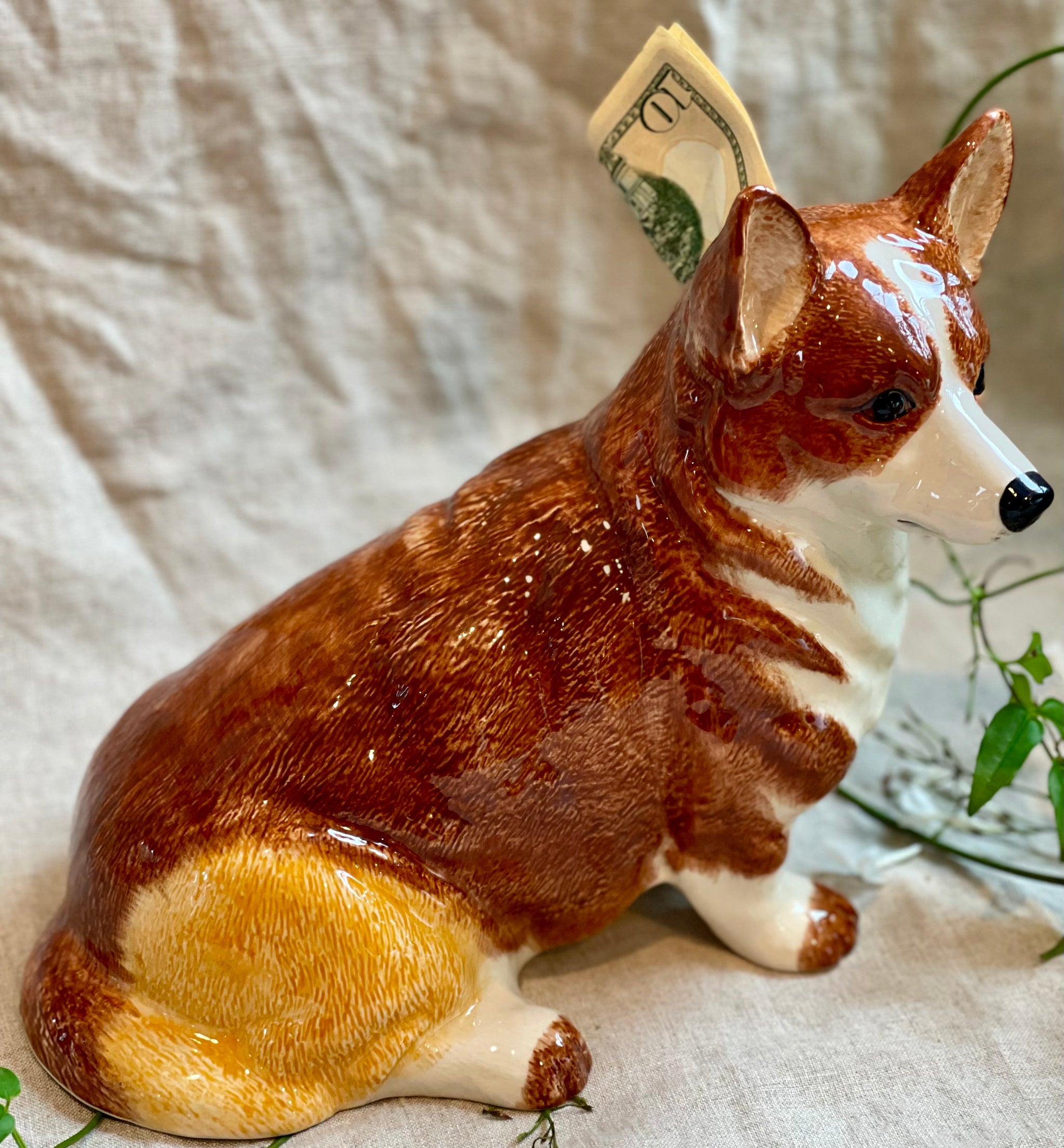 Corgi Piggy Bank – Topiaire Flower Shop Southampton